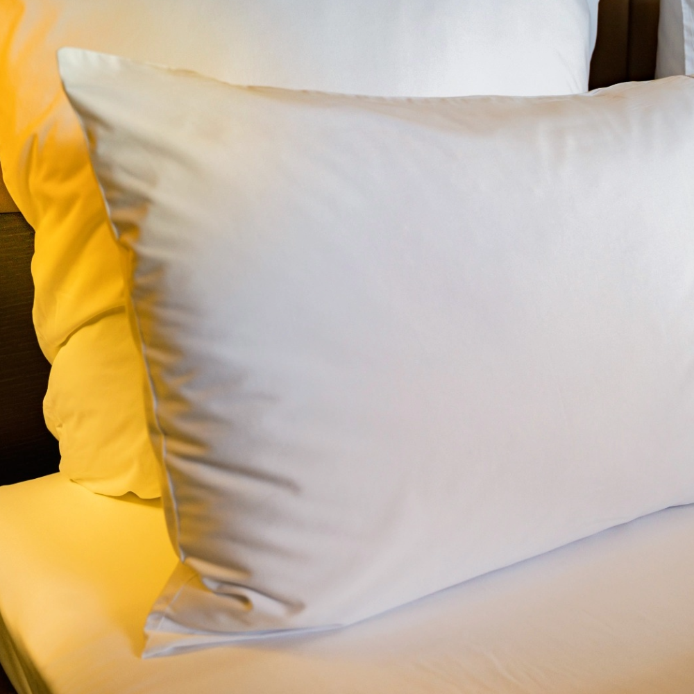 Set x2 Protector de Almohada